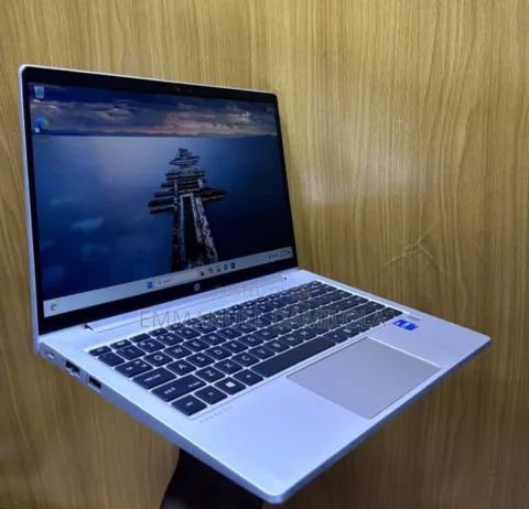 HP ProBook 440 G8  11th Generation 256gb RAM